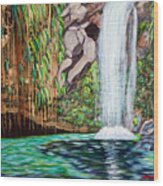 Annandale Waterfall Wood Print