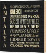 Antalya Famous Landmarks Wood Print