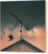 Antenna On Old House With Raven Wood Print