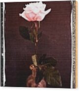 Antique Pink Rose Wood Print