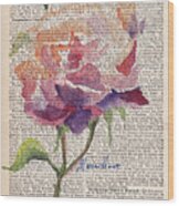 Antique Rose On Antique Paper Wood Print