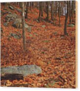 Appalachian Trail In Ny South Mountain Wood Print