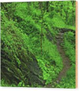 Appalachian Trail In West Virginia 2 Wood Print