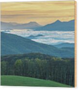 Appalachian Trail Nc Tn Max Patch Gold Wood Print