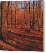 Appalachian Trail New York's Green Pond Mountain Wood Print
