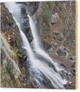 Apple Orchard Falls Wood Print