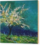 Appletree In Blossom Wood Print
