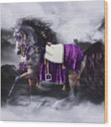 Arabian Horse  Shaitan Wood Print