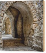 Arched Walkway Wood Print