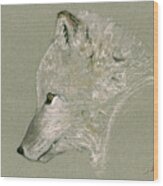 Arctic Fox Head Wood Print