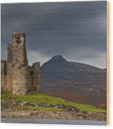 Ardvreck Castle Loch Assynt Wood Print