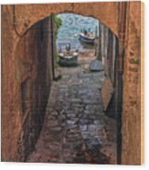 Areaway Alley Wood Print