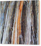 Arizona Desert Tree Texture Wood Print