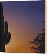 Arizona Sunset Wood Print