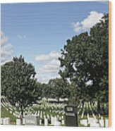 Arlington National Cemetery Panorama Wood Print