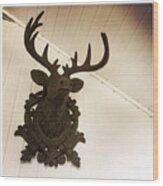 Artificial Deer Antlers Wood Print