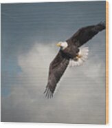 Artistic American Bald Eagle 2017-1 Wood Print
