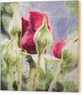 Artistic Rose And Buds Wood Print