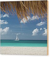 Aruba Sailing Wood Print