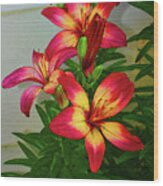 Asian Lilly Spring Time Wood Print