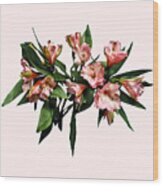 Asiatic Lilies And Leaves Wood Print