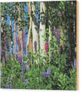 Aspen And Lupine Wood Print