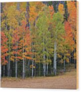 Aspen Color Wood Print