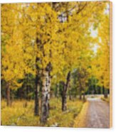 Aspen Country Road Wood Print