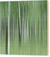 Aspen Grass Dance Wood Print