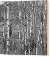 Aspens Wood Print