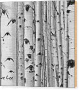 Aspens Near And Far Wood Print