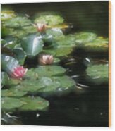 At Claude Monet's Water Garden 11 Wood Print