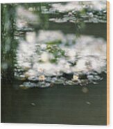 At Claude Monet's Water Garden 5 Wood Print
