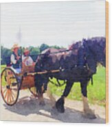 Horse And Buggy At Mount Vernon Wood Print