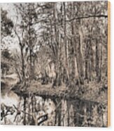 At Swamps Edge Wood Print