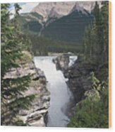 Athabasca Falls Wood Print