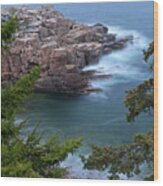 Atop Of Maine Acadia National Park Monument Cove Wood Print