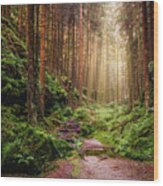 Attractive Pathway In Saxon Switzerland Wood Print