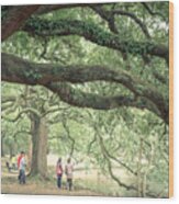 Audubon Park Wood Print