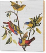 Audubon: Sparrows Wood Print