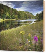 August Flowers On The Pond Wood Print
