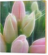 Aura Of Tulip Wood Print