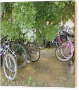 Austin Hike And Bike Trail - Zilker Park Bicycles - Easy Parking Wood Print