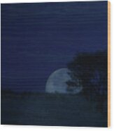 Australian Blue Moon Wood Print