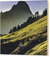 Austrian Alpine Wood Print