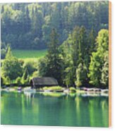 Austrian Lake Wood Print