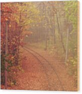 Autumn At Lake Harriet Wood Print