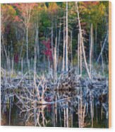 Autumn At Moosehead Bog Wood Print