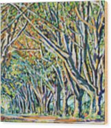 Autumn Avenue Wood Print