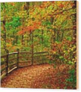 Autumn Bend - Allaire State Park Wood Print